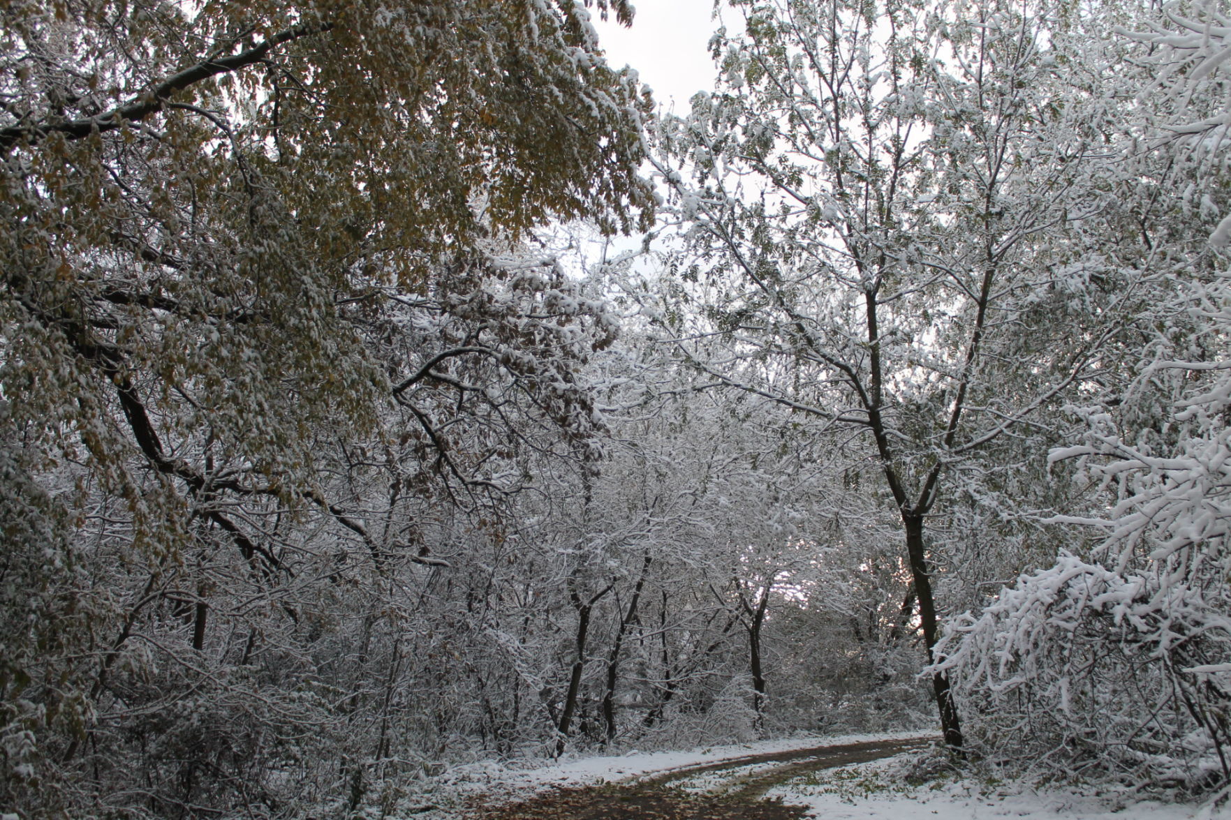 102919 snow 020.JPG